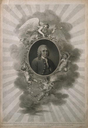 view Carolus Linnaeus. Stipple engraving by H. Meyer, 1806, after Hollmann.