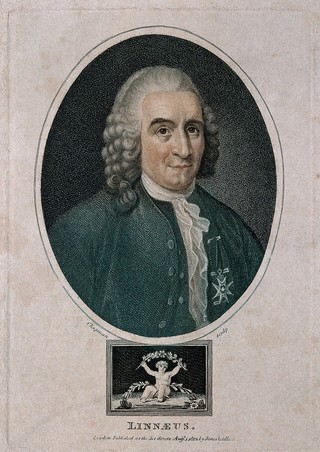 Carolus Linnaeus. Coloured stipple engraving by J. Chapman, 1812, after A. Roslin, 1775.