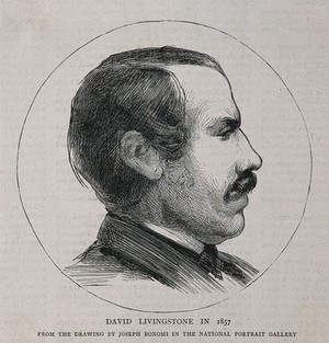 view David Livingstone. Wood engraving after J. Bonomi, junior, 1857.