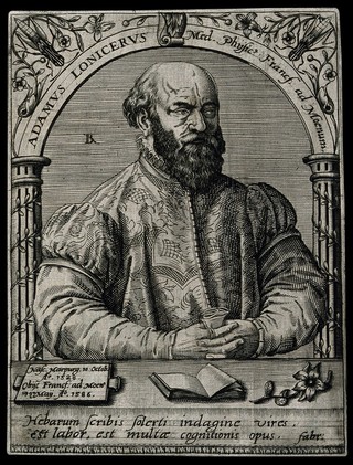 Adam Lonicerus. Line engraving by T. de Bry.