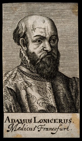 Adam Lonicerus. Line engraving, 1688.