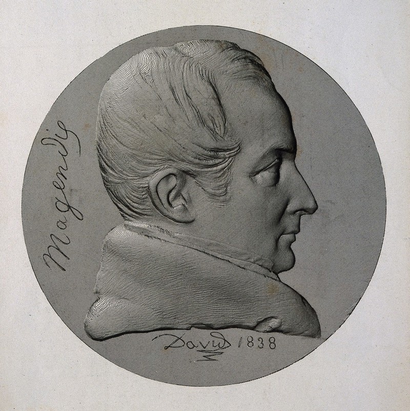 François Magendie. Line engraving after P. J. David d'Angers, 1838., 1800-1899, by David d'Angers