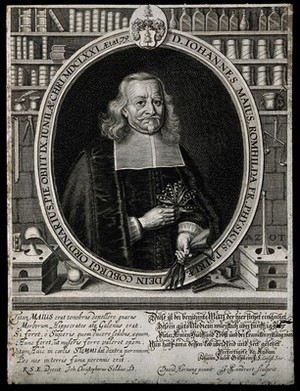 view Johannes Maius (Mai, May). Line engraving by J. Sandrart after D. Hornung.