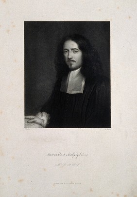 Marcello Malpighi. Stipple engraving by W. Holl after Tabor's [?].