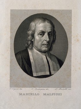 Marcello Malpighi. Line engraving by L. Martelli after F. Rosaspina after C. Cignani, 1683.