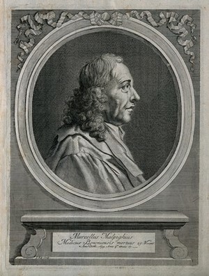 view Marcello Malpighi. Line engraving by J. Kip, 1697.