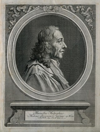 Marcello Malpighi. Line engraving by J. Kip, 1697.
