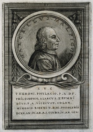 view Marcello Malpighi. Line engraving by C.P., ca. 1708.