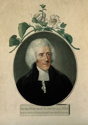 view Thomas Martyn. Coloured stipple engraving by J. Vendramini after J. Russell.