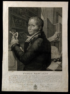 view Paolo Mascagni. Engraving by L. Rados after R. Focosi.