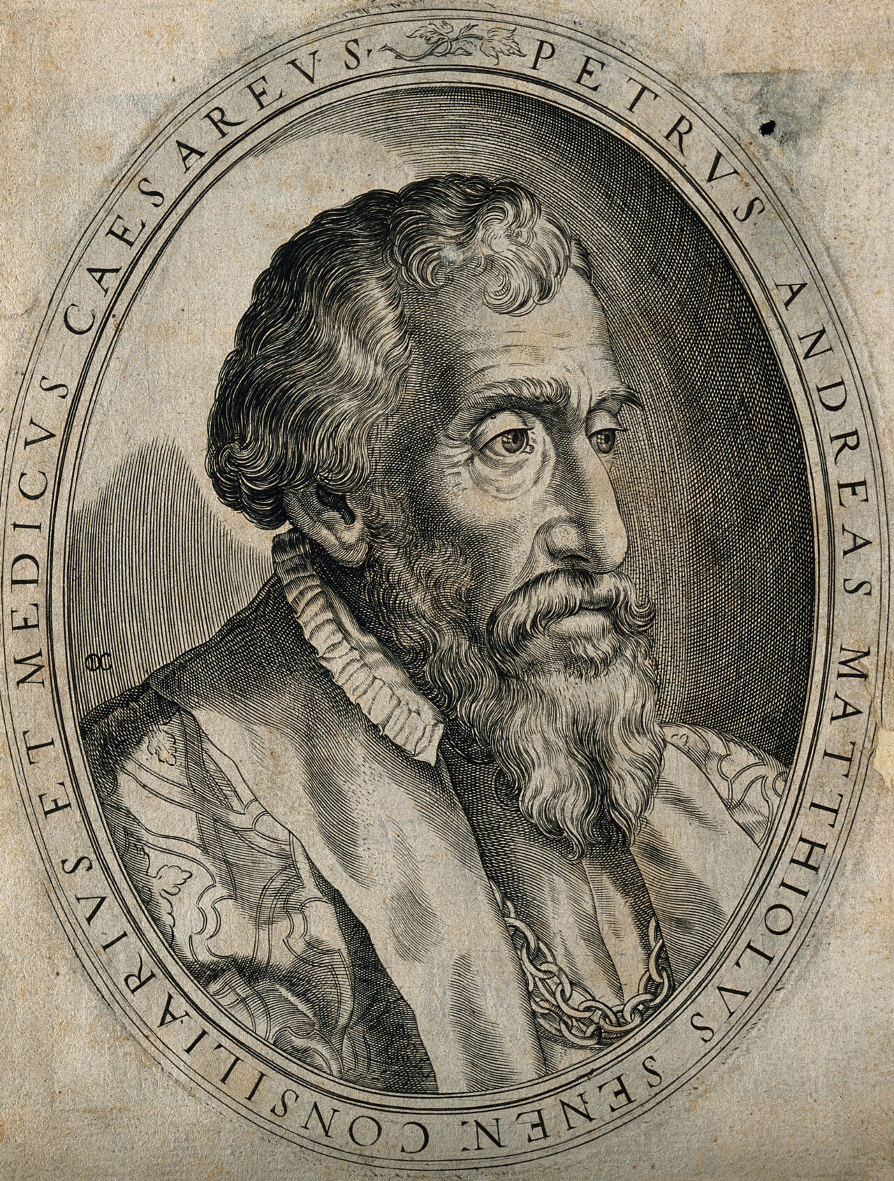 Pietro Andrea Mattioli. Line engraving attributed to D. Custos., by Dominicus Custos