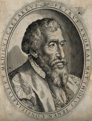 Pietro Andrea Mattioli. Line engraving attributed to D. Custos.