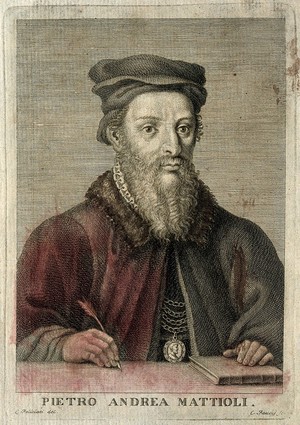 view Pietro Andrea Mattioli. Line engraving by C. Faucci after L. Feliciati.