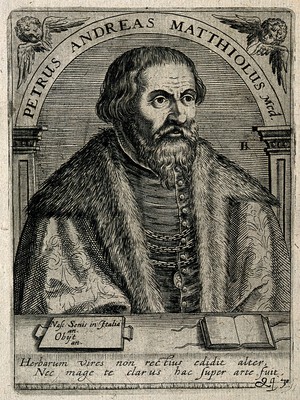 view Pietro Andrea Mattioli. Line engraving by T. de Bry after C. Papi dell'Altissimo.