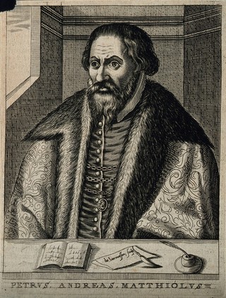 Pietro Andrea Mattioli. Line engraving by N. de Larmessin, 1682, after C. Papi dell'Altissimo.