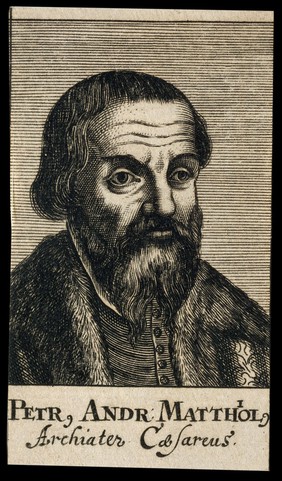 Pietro Andrea Mattioli. Line engraving, 1688.