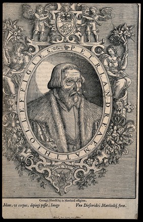 Pietro Andrea Mattioli. Woodcut, 1604.