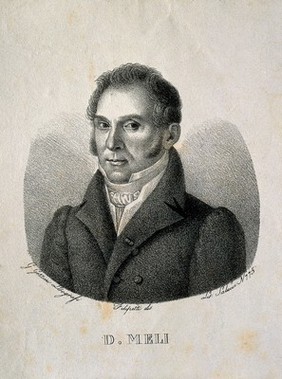 Domenico Meli. Lithograph by G. Gozzini after Filipetti.