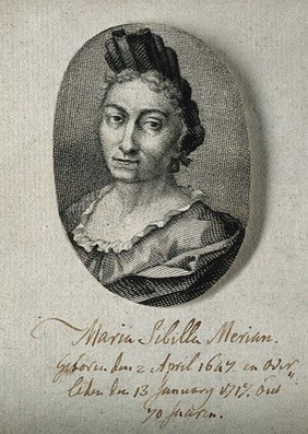 Maria Sybilla Merian. Line engraving after G. Gsell.