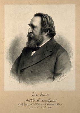 Theodor Hermann Meynert. Lithograph by Baelz.