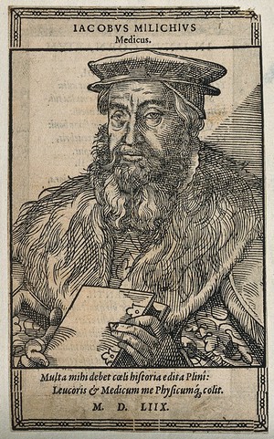 view Jacob Milich. Woodcut, 1558.