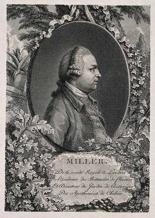 Philip Miller. Line engraving.