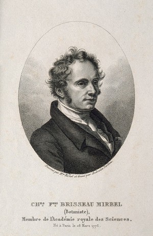 view Charles-François Brisseau Mirbel. Stipple engraving by A. Tardieu after L. de Mirbel.