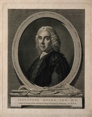 view Alexander Monro. Line engraving by J. Basire, 1775, after A. Ramsay, 1749.