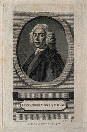 Alexander Monro. Line engraving by T. Cook, 1786, after A. Ramsay, 1749.