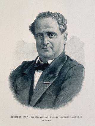Christian Horace Bénédict Alfred Moquin-Tandon. Photogravure by [Reymond?], 1896.