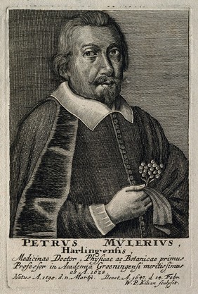 Petrus Mulerius. Line engraving by W. P. Kilian.