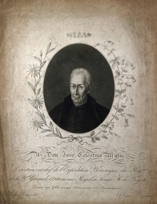 José Celestino Mutis. Stipple engraving.