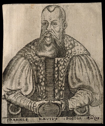 Johann Naeve [Neefe]. Line engraving.