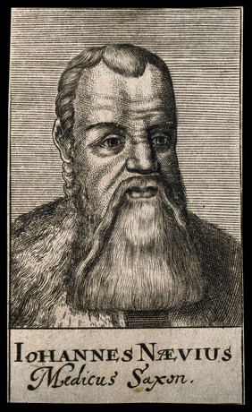 Johann Naeve [Nefe]. Line engraving, 1688.