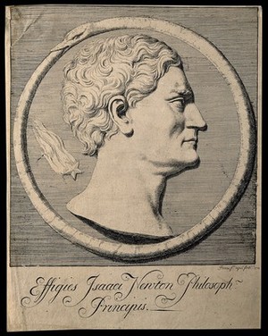 view Sir Isaac Newton. Etching by W. Hoare, 1734.