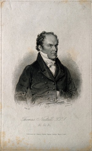 view Thomas Nuttall. Stipple engraving by J. Thomson, 1825, after W. Derby.