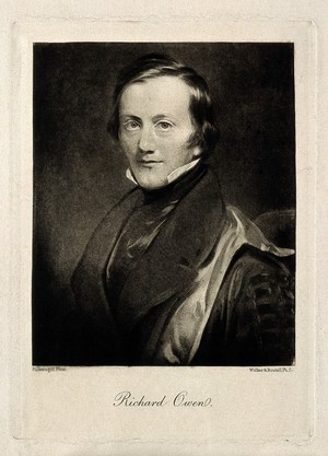 view Sir Richard Owen. Photogravure after H. W. Pickersgill.