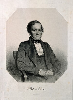 view Sir Richard Owen. Lithograph by T. H. Maguire, 1850.