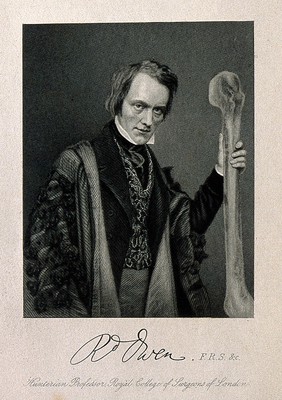 Sir Richard Owen. Line engraving.