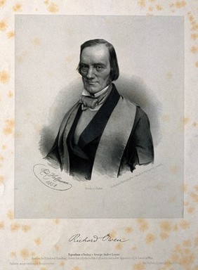 Sir Richard Owen. Lithograph by R. Hoffmann, 1858, after Maull & Polyblank.