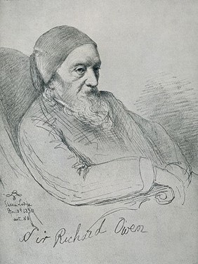 Sir Richard Owen. Reproduction of drawing, 1896, after R. Lehmann, 1880.