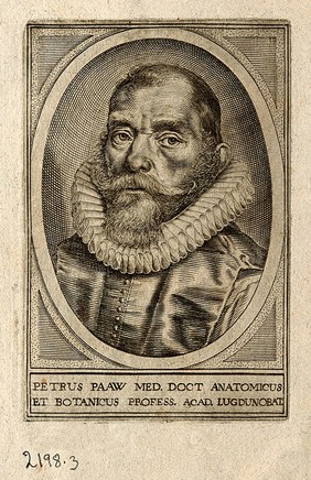 Pieter Paaw [Pauw, Pavius]. Line engraving.