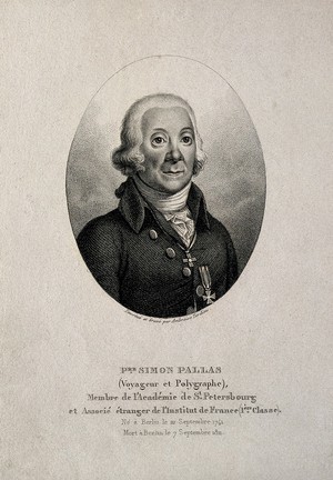 view Peter Simon Pallas. Stipple engraving by A. Tardieu after himself.