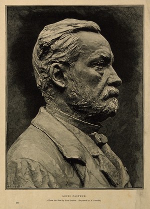 view Louis Pasteur. Wood engraving by A. Leveillé after P. Dubois, 1884.