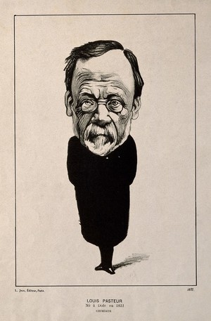 view Louis Pasteur. Lithograph by Félix Vallotton, 1893.