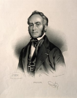 view Anselm Payen. Lithograph by N. E. Maurin.