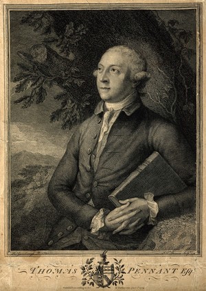 view Thomas Pennant. Line engraving by J. K. Sherwin, 1778, after T. Gainsborough, 1776.