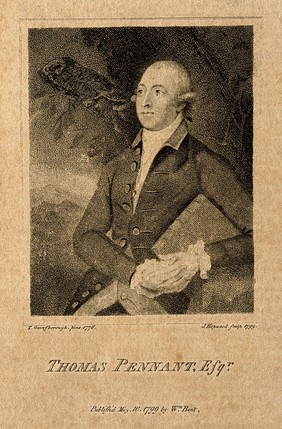 Thomas Pennant. Stipple engraving by J. Hopwood, 1799, after T. Gainsborough, 1776.