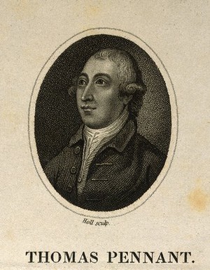 view Thomas Pennant. Stipple engraving by Holl after T. Gainsborough, 1776.