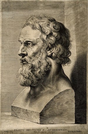 view Plato. Line engraving by L. Vorsterman after Sir P. P. Rubens.